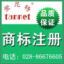 版权代理 文化产业的隐形守护者与商业桥梁